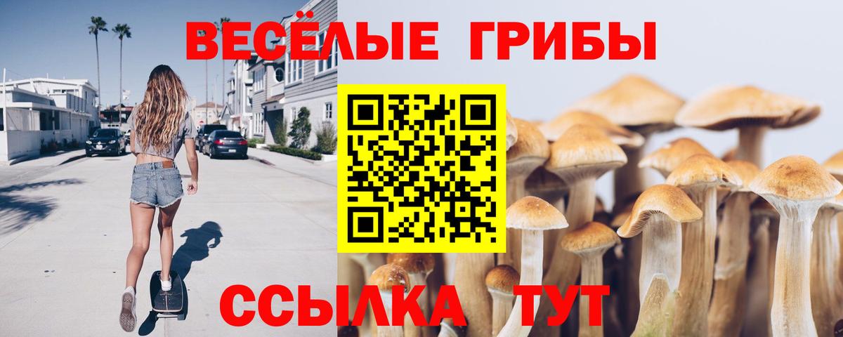 Псилоцибиновые грибы Cubensis  Вход с VPN  Ухта 