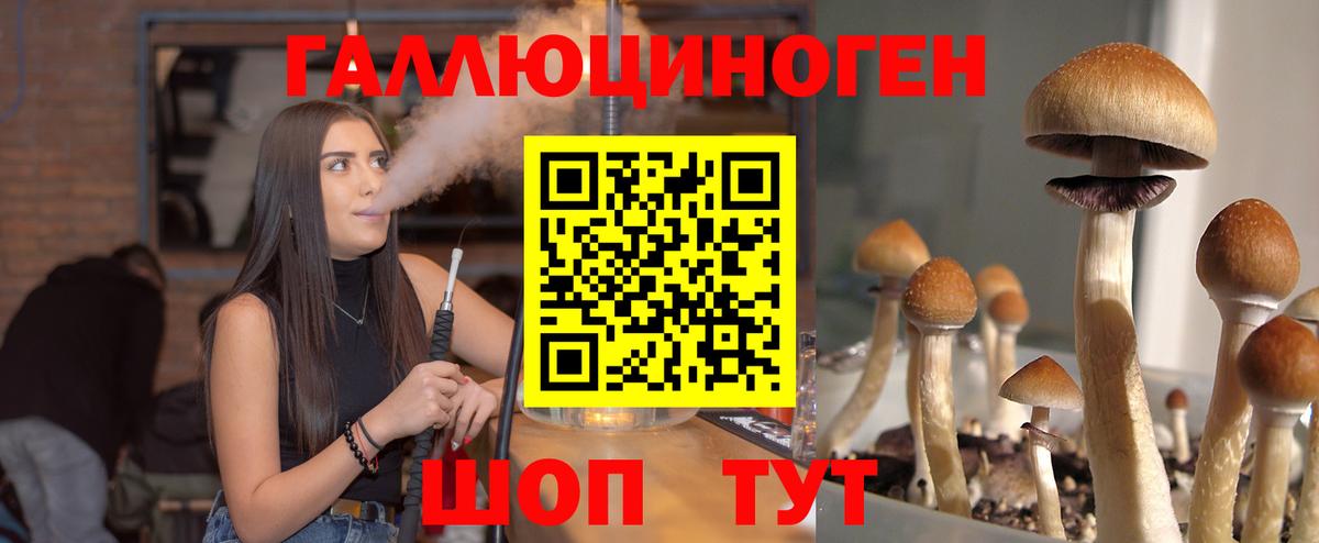 Галлюциногенные грибы Psilocybine cubensis Ухта